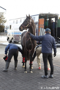 元気な姿でアロースタッドに到着