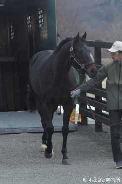 満を持してイーストスタッドに到着