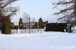 2025年は生産馬が重賞を沸かせた