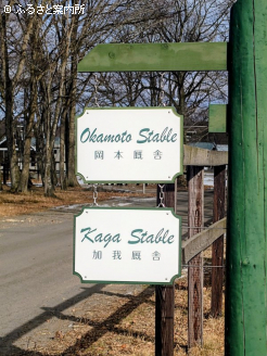 ロブチェンは厩舎長として手掛けた最初の世代となる