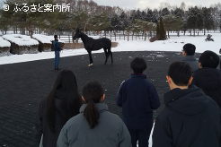 種馬場職員には研修修了生もいる