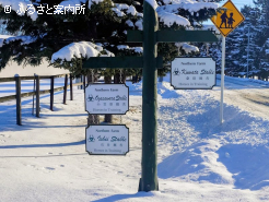 菊花賞馬となったアーバンシックの育成も手掛けてきた