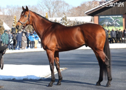 ベラジオオペラ