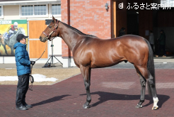 タスティエーラ