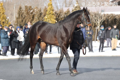 キタサンブラック