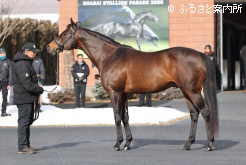 ロードカナロア