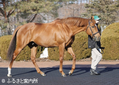 展示会では初お披露目となったソットサス