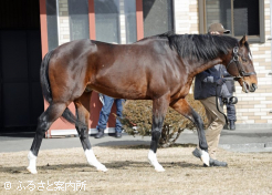 リアルスティール