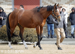 ソールオリエンス