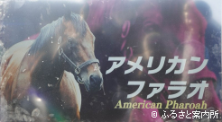 場内にはJBBAスタリオンズを紹介するVTRも流された