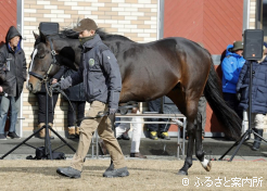 ソウルラッシュ