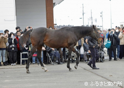 東北地区で不動の人気を誇るウインバリアシオン