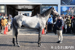 ミスティックロア