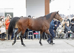 今シーズンからJBBAスタリオンズの仲間入りとなったタガノビューティー