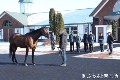 参列者にお披露目されたアメリカンファラオ