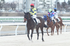 2歳新種牡馬チュウワウィザードの産駒