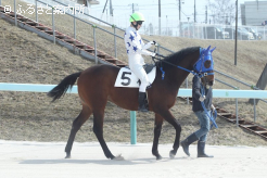 ヤマノファイト、ヤマノミラクルの半弟