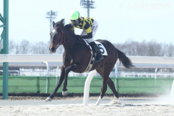第1位入線したサンライズノヴァ産駒のサザンザバロン