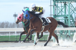 第1位入線したノーブルミッション産駒