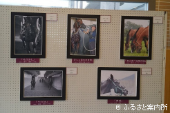 理事長賞を含めた5つの入賞作品