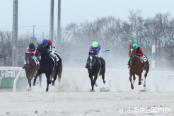 ゴールを目指して疾走する2歳馬