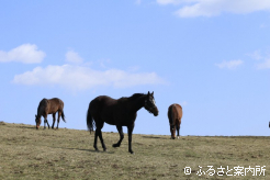 写真2 [穏やかに]