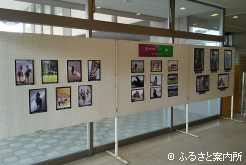 部員が撮影した全21点の力作が飾られた