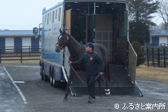 元気な姿でアロースタッドに到着した