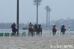 2歳馬47頭が受検した3回目の競走能力･発走調教検査