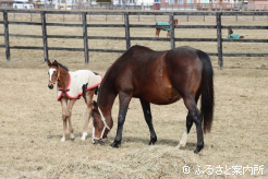 放牧地で過ごす親仔