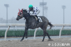 50秒1を計測したセルアウトクラウド