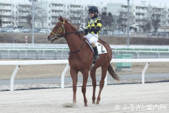 一番時計で駆け抜けたクライングコール