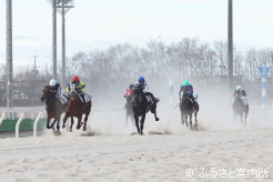 全15競走実施された3月13日の競走能力･発走調教検査
