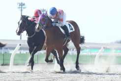 第1位入線したストラクター産駒のオギフシノネガイ