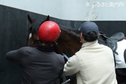 アナボリックステロイド検査のための採血