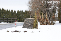 今ではすっかり雪解けも進んでいる