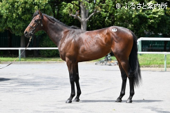 ウインアルエット2024