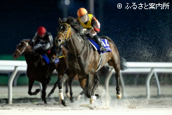 馬場の真ん中を堂々と突き抜けた