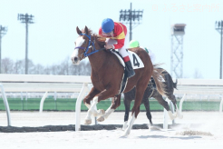 第1位入線したアニマルキングダム産駒のエイシンフロイデ