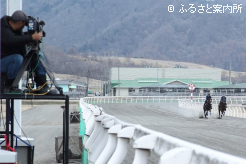 31頭が参加した事前追い切り調教VTR撮影