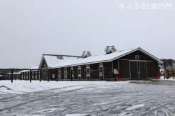 旧C1厩舎時代も、ここから多くのG1馬が送り出された