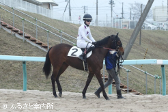 門別競馬場で調教技術研修中の井上瑛太騎手