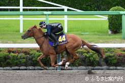 2ハロンの合計タイムで最速を記録したツウカイエオス2024
