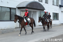 事前追い切り調教VTR撮影を終えた上場予定馬