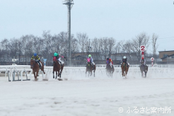 今年初めて本馬場で行われた競走能力･発走調教検査