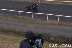 35頭が参加した事前追い切り調教VTR撮影