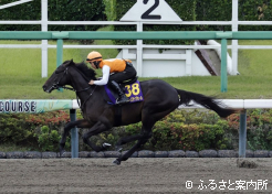 カラヴァッジオ産駒のブライトメッセージ2024も好タイムをマークした