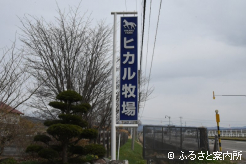 ヒカル牧場の看板