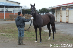 初年度の配合種牡馬はイクイノックスを予定