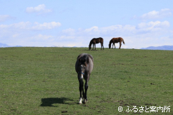 写真1 [気になり]